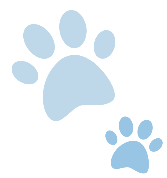 Quatro Patas Pet Online Pegadas
