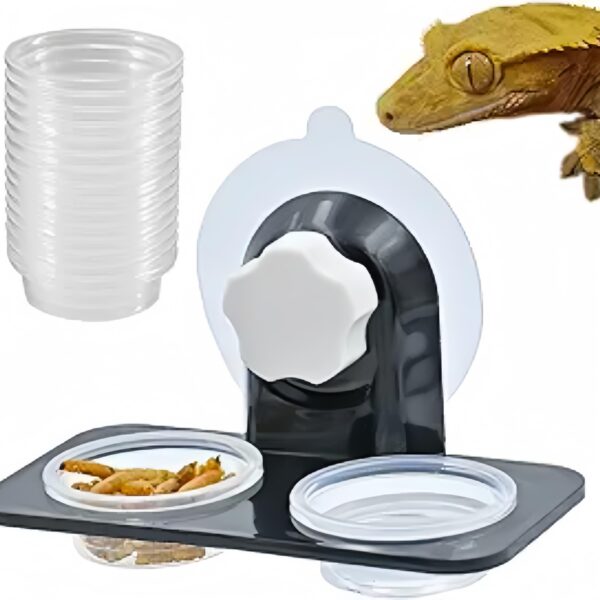 Conjunto de alimentação para Répteis - Image 4