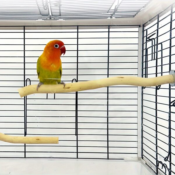 Poleiro de Fibra de Madeira Natural para Papagaios e Passaros - Bird Perch Stand, Natural Wood Fiber Board Perches for Parrots and Birds - Image 4