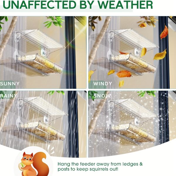 Alimentador Externo de Acrilico para Passaros - Acrylic Window Bird Feeder with Strong Suction Cups - Image 3