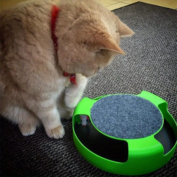 Tábua de Raspar para Gatos - Cat Turntable Toy, Mouse Hunting Toy - Image 3