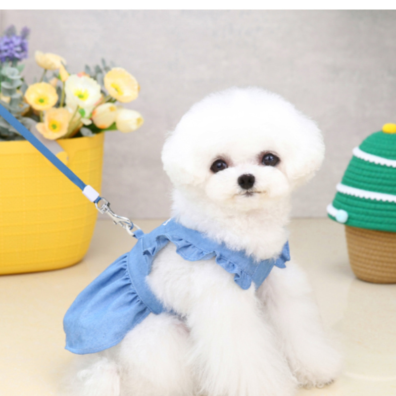 Vestido para Caes Pequenos – Cute Letter Embroidered Dog Dress