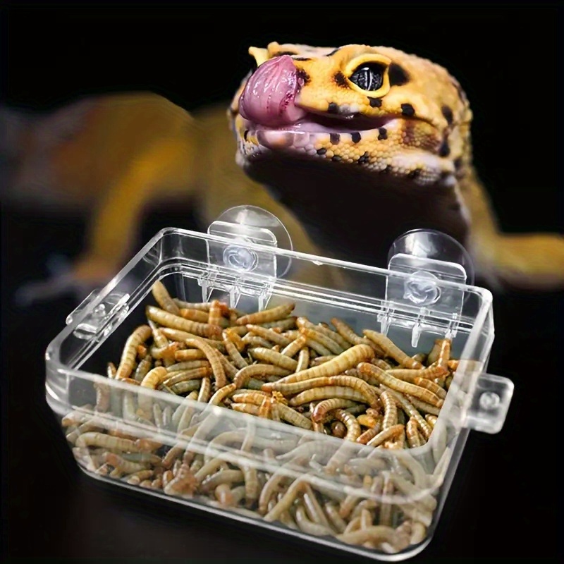 ReptiSafe Hideaway: Comedouro para Répteis