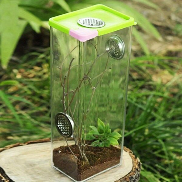 Terrário Acrílico Transparente para Pets - Image 11