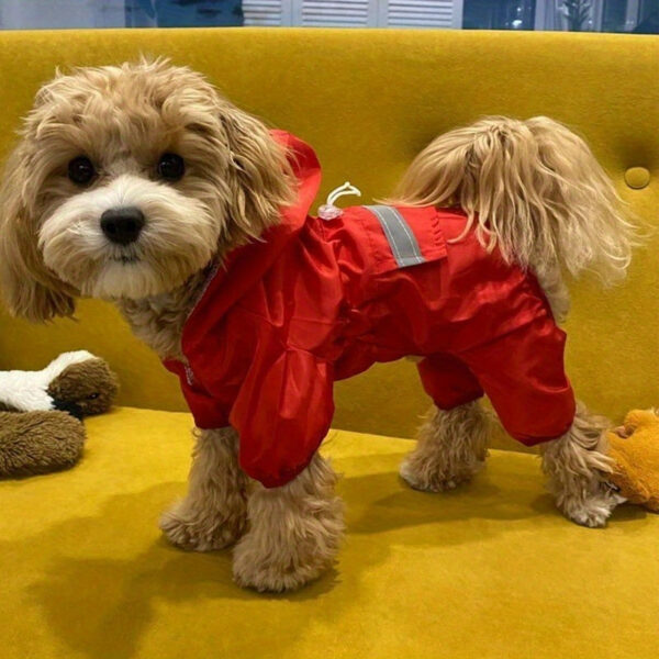 Capa de Chuva Refletiva - Reflective Waterproof Dog Raincoat For Small Breeds - Easy Snap Closure, Hand-Washable Spandex Jumpsuit - Image 2
