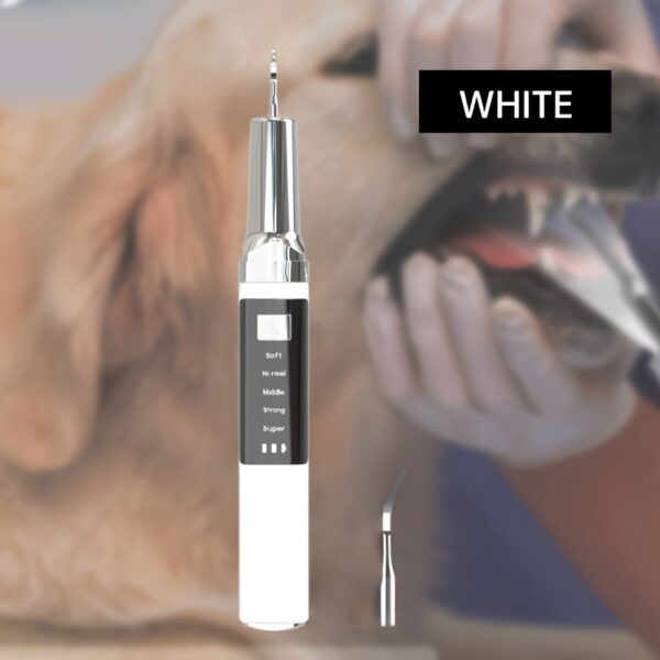 Kit Eletrico de Limpeza Dental para Pets - 1pc Pet Electric Dental Cleaner Kit, USB Rechargeable Tooth Stain/Tartar Remover - Image 3