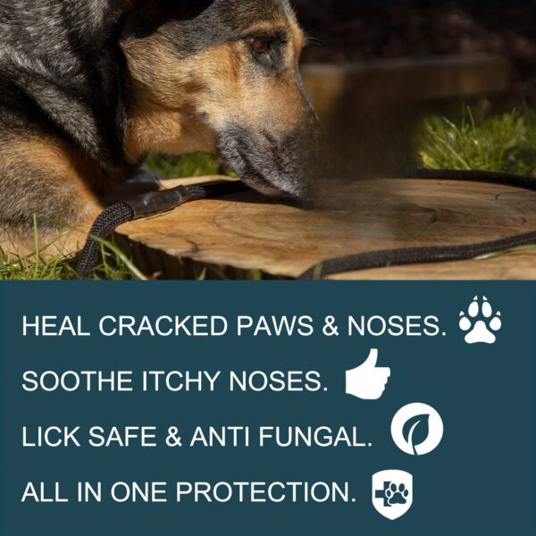 Balsamo para as Patas e Focinho Nariz - Pet Paw Balm - Soothes And Heals Dry, Cracked Paws And Nose, Protects Against Heat And Hot Pavement - Image 11
