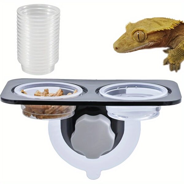 Conjunto de alimentação para Répteis - Image 3