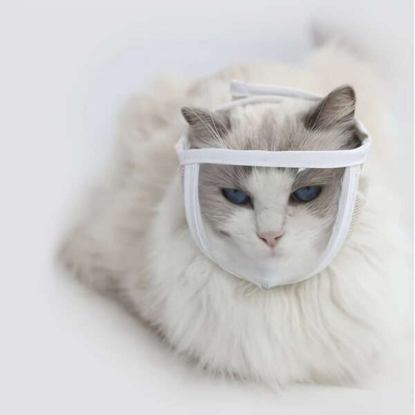 Protetor Facial Transparente para Gatos - 1pc Adjustable Cat Muzzle, Transparent Eye Shield - Image 4