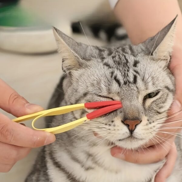 Escova Removedor de Sugeira nos Olhos - 1PC Pet Tear Marks Brush Cat Dog Eye Excrement - Image 4