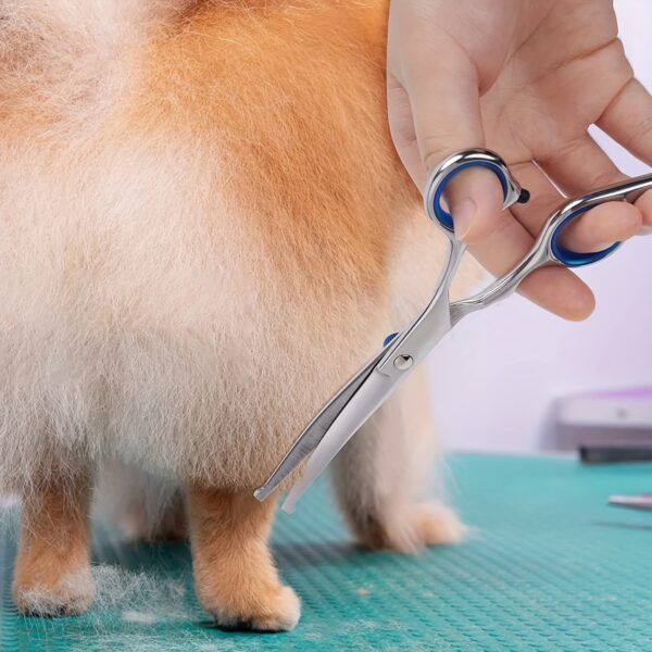 Tesoura Premium Pet Grooming Scissors Set - Safety Round Tip - Image 7