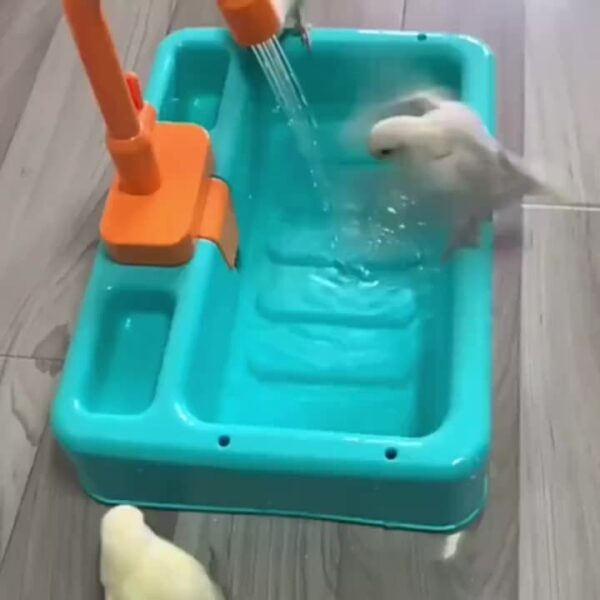 Bacia de Duche para Pássaros - Automatic Parrot Bath Tub With Faucet - Image 10