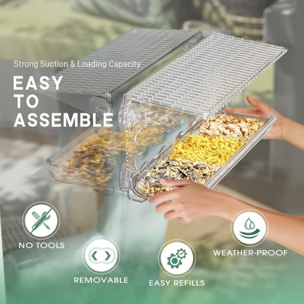 Alimentador Externo de Acrilico para Passaros - Acrylic Window Bird Feeder with Strong Suction Cups - Image 5