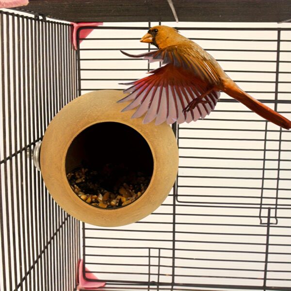 Ninho em forma de Coco para Passaros - 1pc Coconut Shape Bird Nest, Birdhouse For Parrots Small Animals Hamsters For Large Bird Cages - Image 4