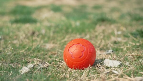 Brinquedo de Bola Interativa para Pets - Interactive Pet Toy Dog Toy Ball, Automatic Smart Dog Bouncing Ball - Image 16