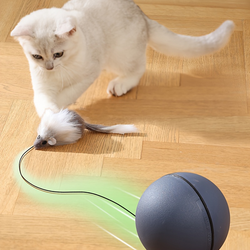 Brinquedo de Bola Interativa para Gatos – Interactive Cat Toy Ball With Tracking Mouse