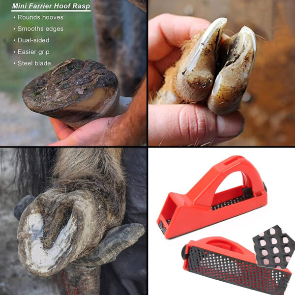 Ferramenta Compacta para Cuidados de Casco de Equinos, Suinos e Caprinos - Compact Portable Hoof Trimming File For Horses & Goats - Image 5