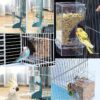 Alimentador Automatico para Passaros - Automatic Bird Feeder, Water Dispenser Set - Clear - Image 7