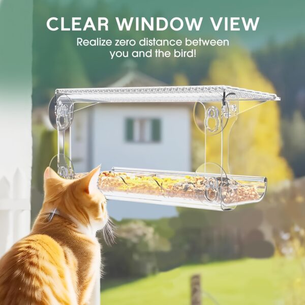 Alimentador Externo de Acrilico para Passaros - Acrylic Window Bird Feeder with Strong Suction Cups - Image 4