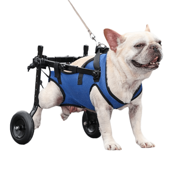 Cadeira de Rodas para Pequenos Pets - Small Pet Wheelchair For Back Legs, Dog Rehabilitation Walking Auxiliary Cart - Image 6