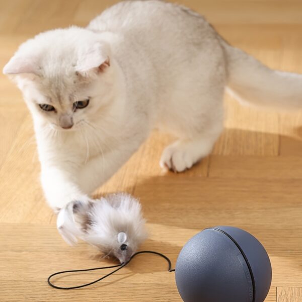 Brinquedo de Bola Interativa para Gatos - Interactive Cat Toy Ball With Tracking Mouse - Image 6