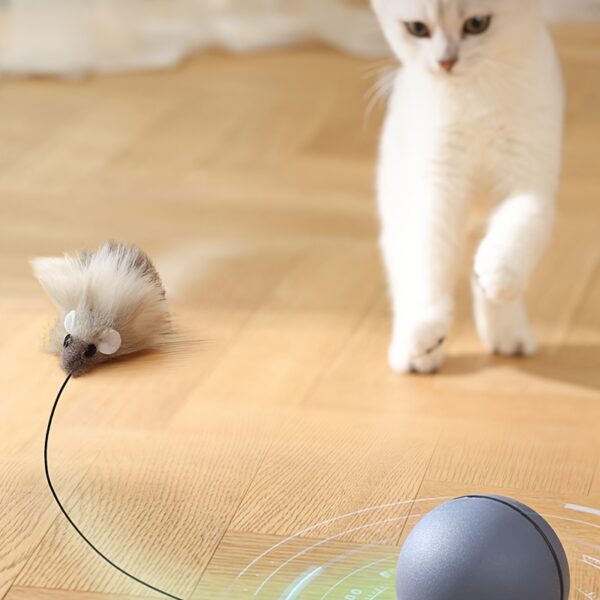 Brinquedo de Bola Interativa para Gatos - Interactive Cat Toy Ball With Tracking Mouse - Image 4
