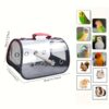 Transportador de Passaros - 1pc Lightweight Bird Carrier, Transparent Parrot Travel Bag - Image 2