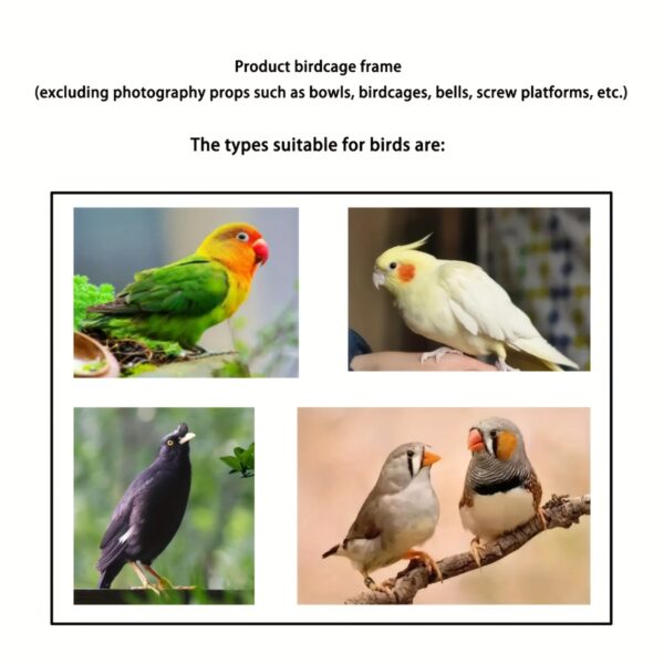 Gaiola de Metal Tamanho Grande para Papagaios e Passaros - Large Metal Birdcage Villa for Parrots, Mynas, Thrushes, Canaries, and Breeding Birds - Image 8