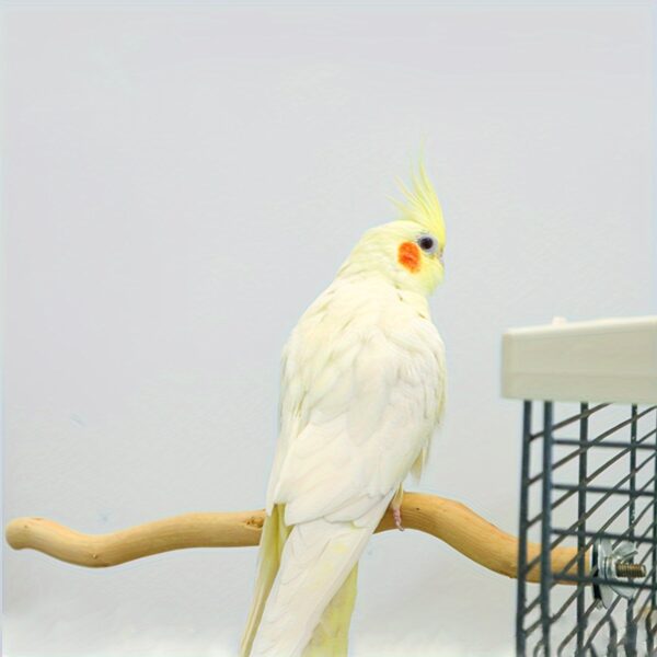 Poleiro de Fibra de Madeira Natural para Papagaios e Passaros - Bird Perch Stand, Natural Wood Fiber Board Perches for Parrots and Birds - Image 3