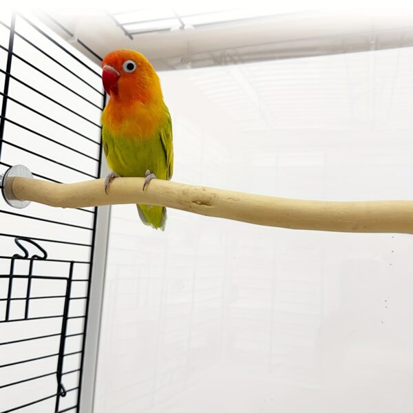 Poleiro de Fibra de Madeira Natural para Papagaios e Passaros - Bird Perch Stand, Natural Wood Fiber Board Perches for Parrots and Birds - Image 5