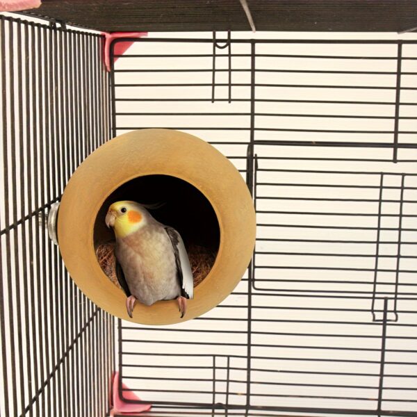 Ninho em forma de Coco para Passaros - 1pc Coconut Shape Bird Nest, Birdhouse For Parrots Small Animals Hamsters For Large Bird Cages