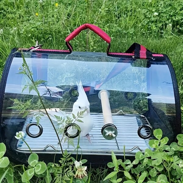 Transportador de Passaros - 1pc Lightweight Bird Carrier, Transparent Parrot Travel Bag