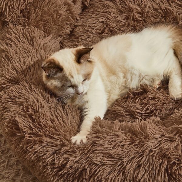 Cama Peluda Grande em Formato de Pata de Urso para Pets - 1pc Bear Paw Shape Plush Dog Bed - Image 9