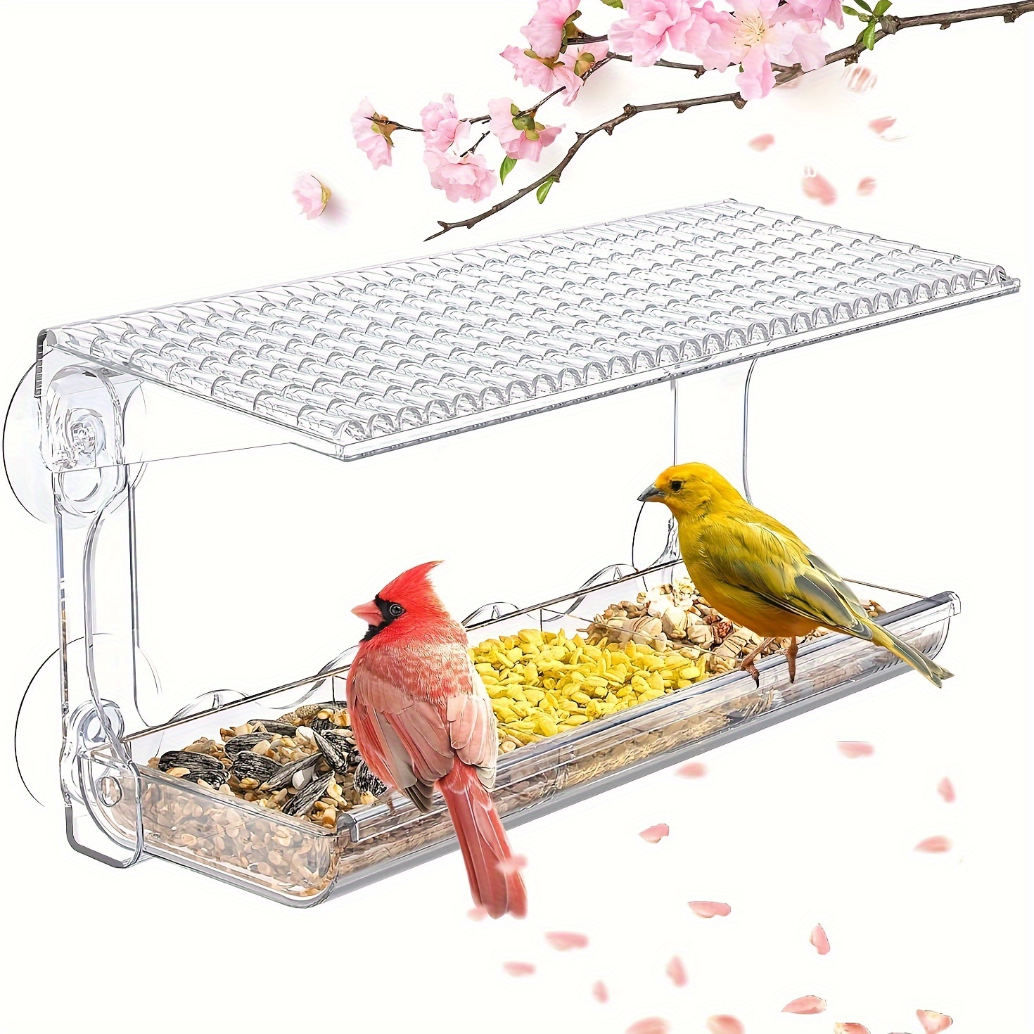 Alimentador Externo de Acrilico para Passaros – Acrylic Window Bird Feeder with Strong Suction Cups