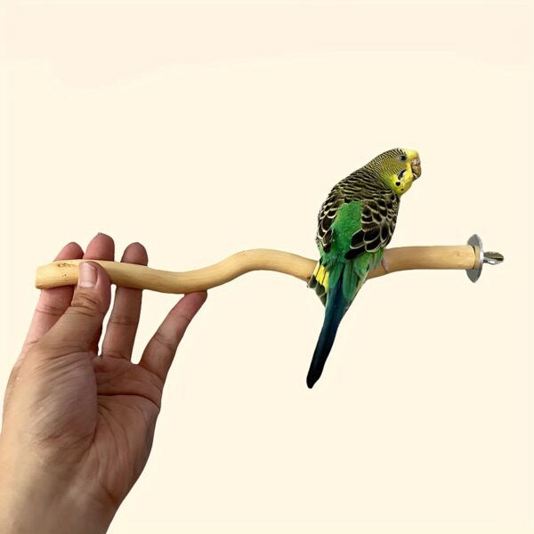 Poleiro de Fibra de Madeira Natural para Papagaios e Passaros - Bird Perch Stand, Natural Wood Fiber Board Perches for Parrots and Birds - Image 7
