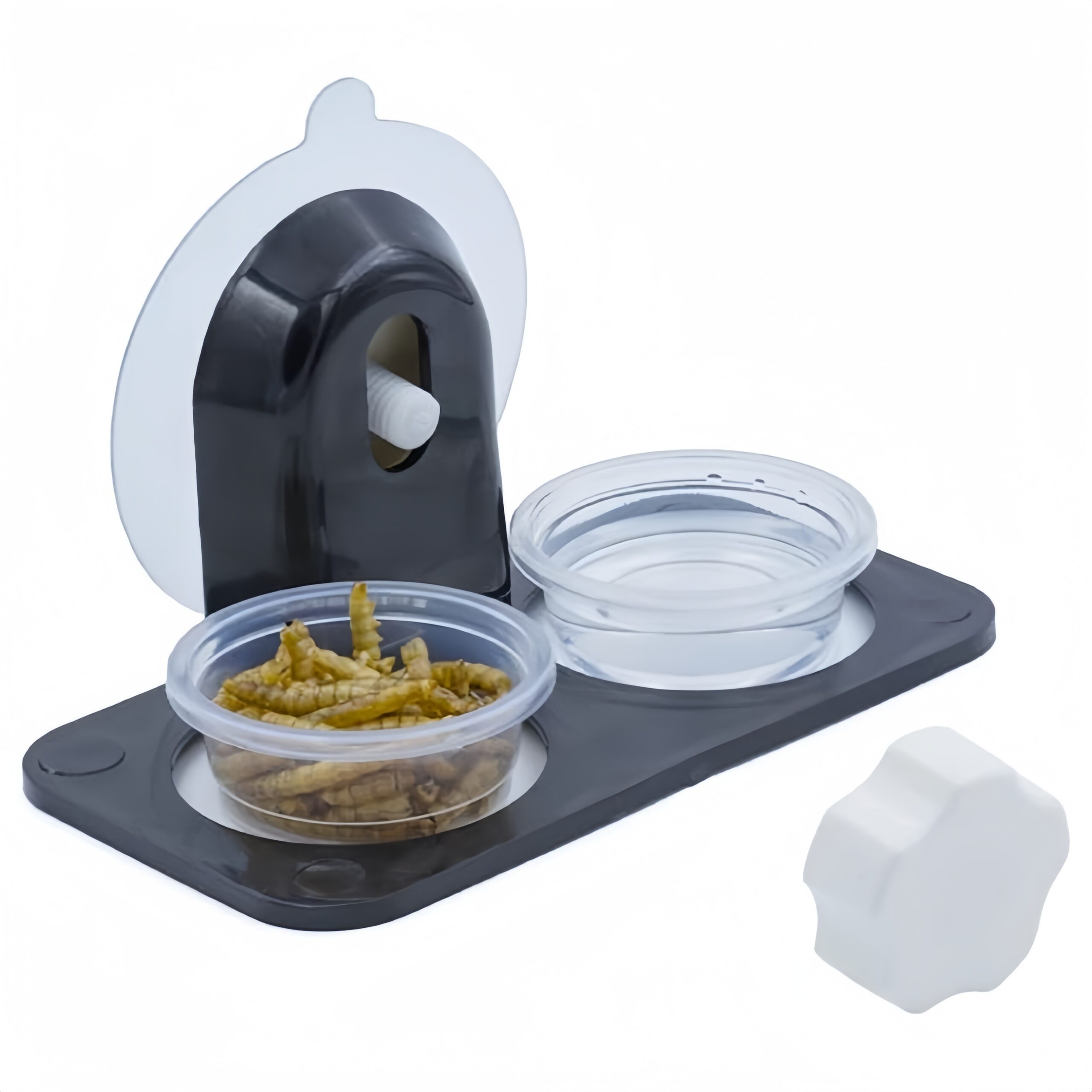 Conjunto de alimentação para Répteis
