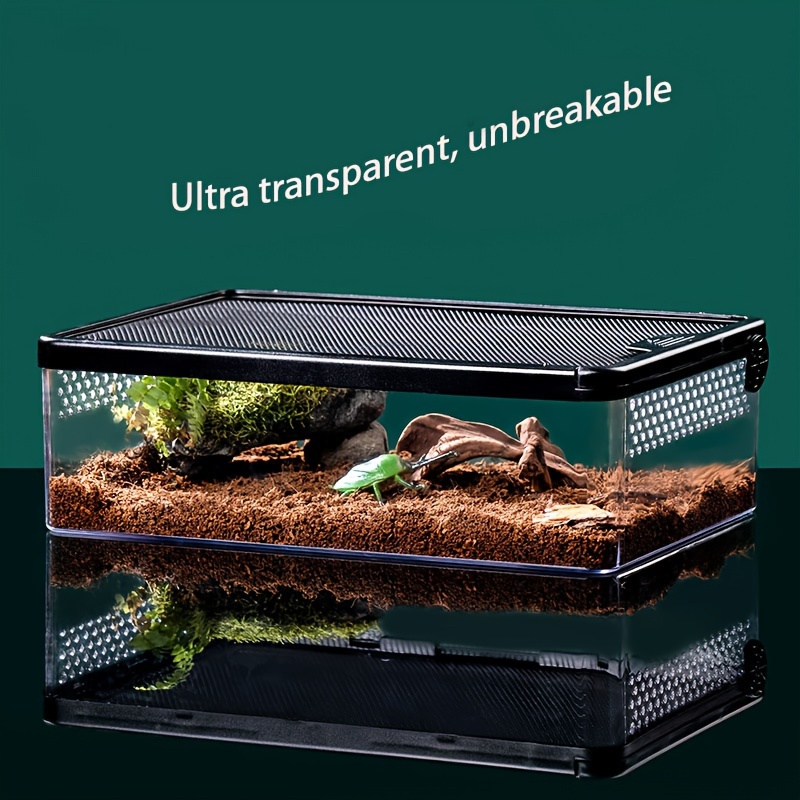 Tanque Ultra Transparente para Criação de Pequenos Pets