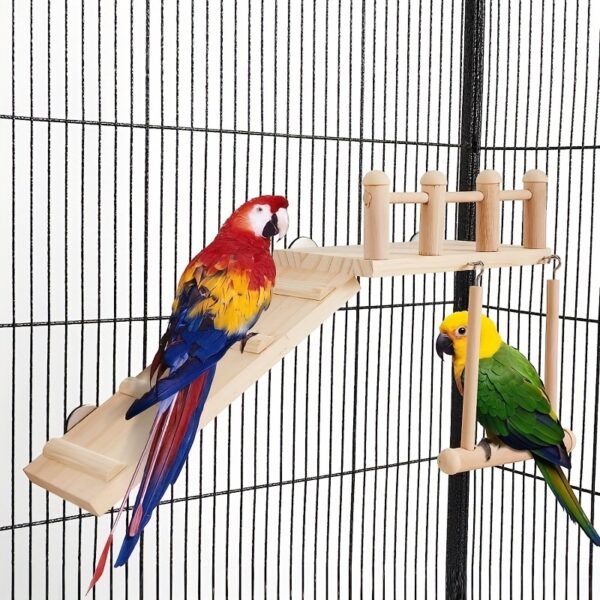 Suporte Escalavel para Passaros - Delight Your Pet Bird with This Fun Platform Swing & Climbing Ladder Set! - Image 8