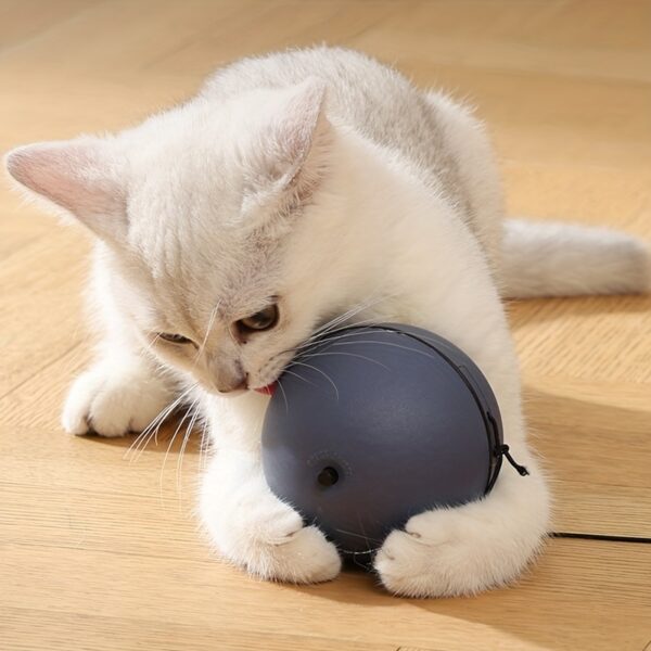 Brinquedo de Bola Interativa para Gatos - Interactive Cat Toy Ball With Tracking Mouse - Image 7
