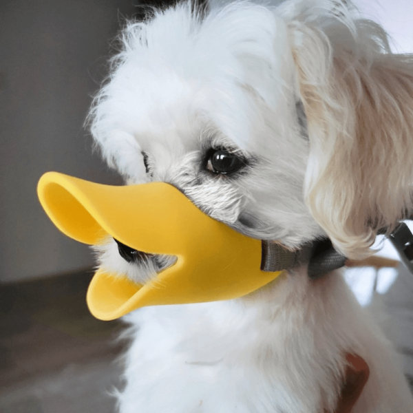 Acessório Anti-latido e Alimentação - Dog Duck Mouth Cover, Anti-biting Anti-eating Anti-barking Dog Mouth Cover Universal - Image 2