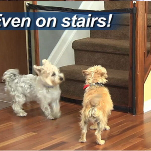 Portão de Rede para Pets - Versatile Safety Gate For Dogs Cats; Babies - Indoor/Outdoor Use - Image 3